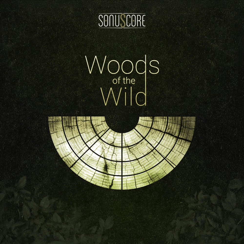 soundshockaudio's tweet photo. Woods Of The Wild is 50% off.

149.00 to 74.50.

https://t.co/hLVJ90VD3R

#MusicProduction #VST https://t.co/MQ1avrmos9