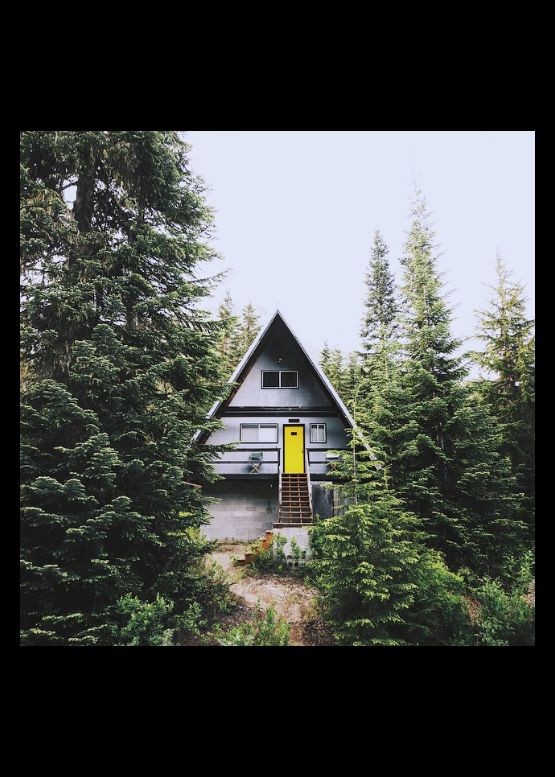 RewBlue44's tweet photo. Inside the cozy cabin, they dimmed overhead lights and left only soft table lamps glowing throughout living spaces. Wind rustled gently through surrounding pine trees outside windows, creating a soothing natural lullaby for their first mountain🖌
Be peaceful and calm every stor https://t.co/8j4Gm6IpAO
