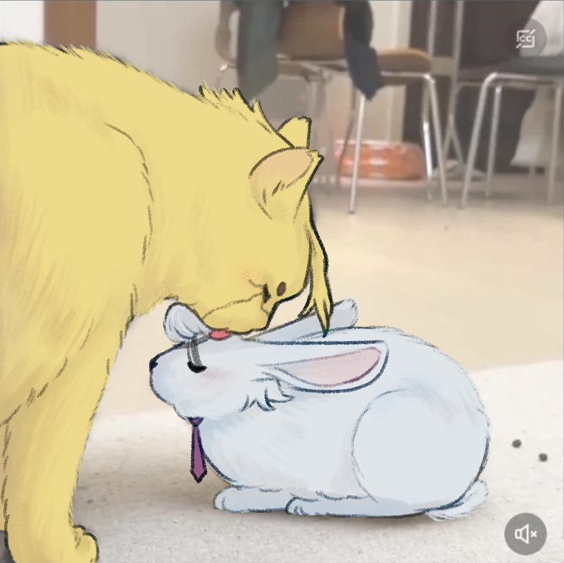 citrus_c0la's tweet photo. "cats give licks to show dominance and bunnies receive licks to show dominance, they both think they're in charge here." #stanxeno #dcst https://t.co/nAkDYPDVg6