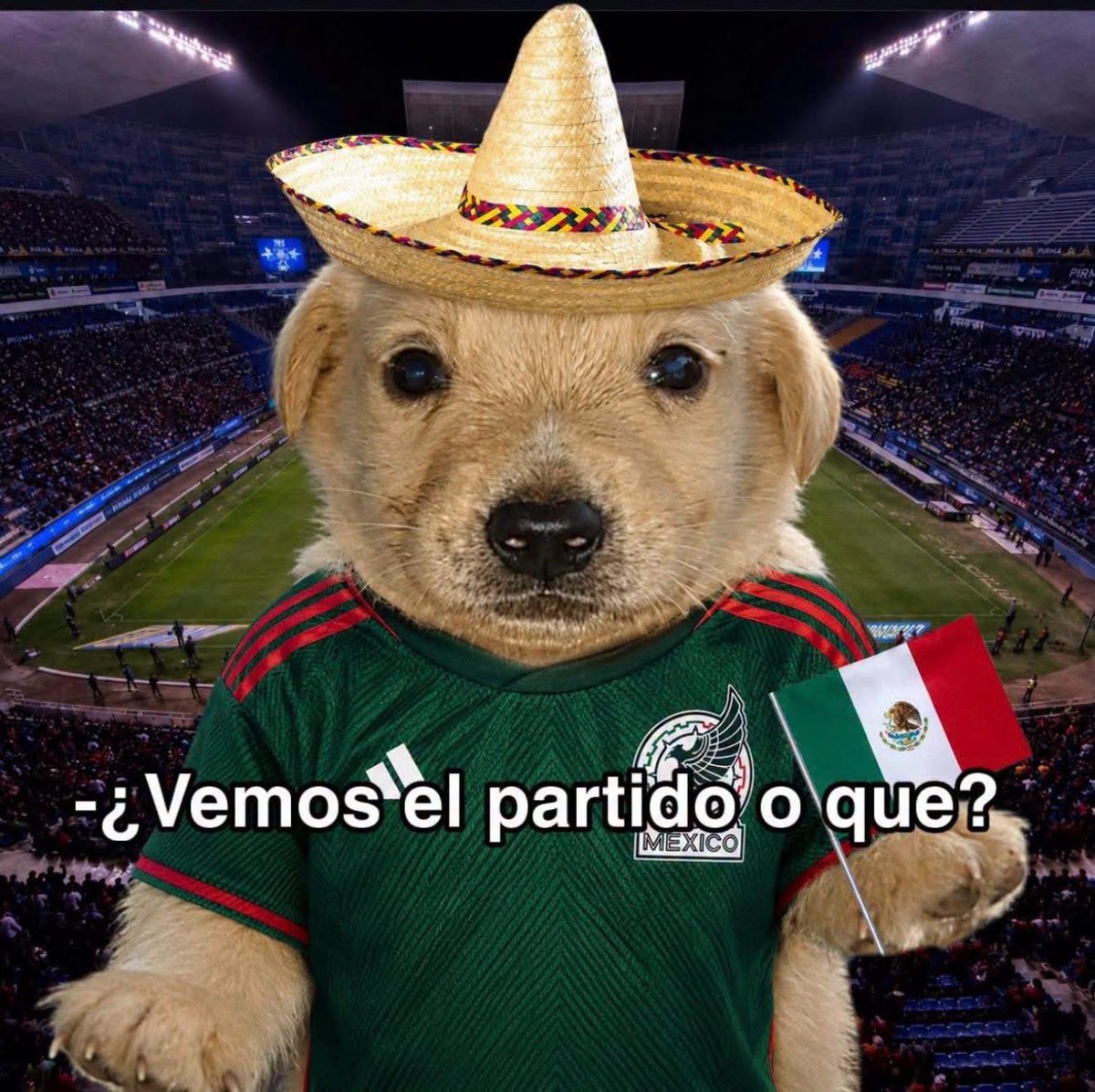 Javisness's tweet photo. Yo sin saber lo que es un tiro de esquina: https://t.co/J5rDMD29g6