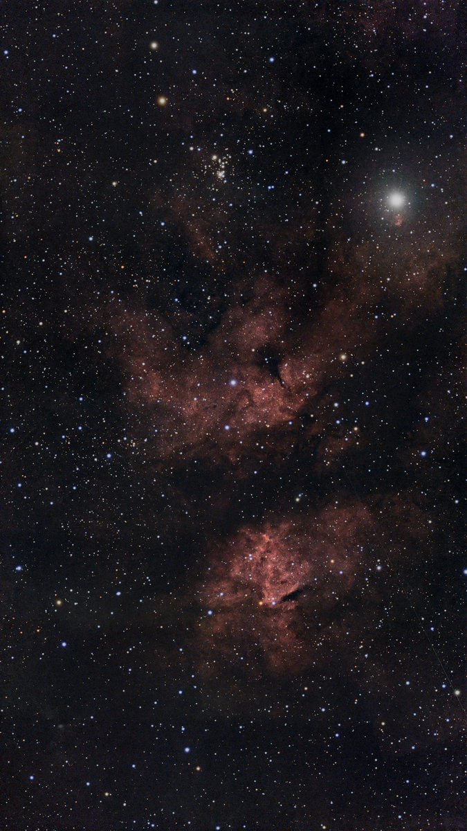 rvanmad's tweet photo. 🔭 Butterfly Nebula (IC 1318)

One of the Milky Way’s most spectacular emission nebulae surrounding Sadr (γ Cygni). This mosaic also features the young open cluster NGC 6910.

📷 Seestar S50 (1515×10s) 
🛠️ PixInsight

#Astrophotography #ButterflyNebula #SeestarS50 #Astronomy https://t.co/eVGxbf0Vgi