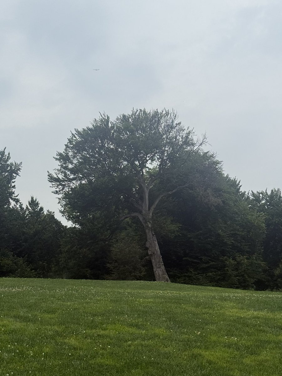 AI_equals_mc2's tweet photo. Bill Ackman just walked past me in Central Park with a girl in a wheelchair and some guy.

I was loudly saying Cialis to someone and gesticulating as we walked around them.

In 2021, I walked past SBF in Midtown.

In 2022, I walked past Mark Cuban and his son in Theater District. https://t.co/nTVYE6oivX