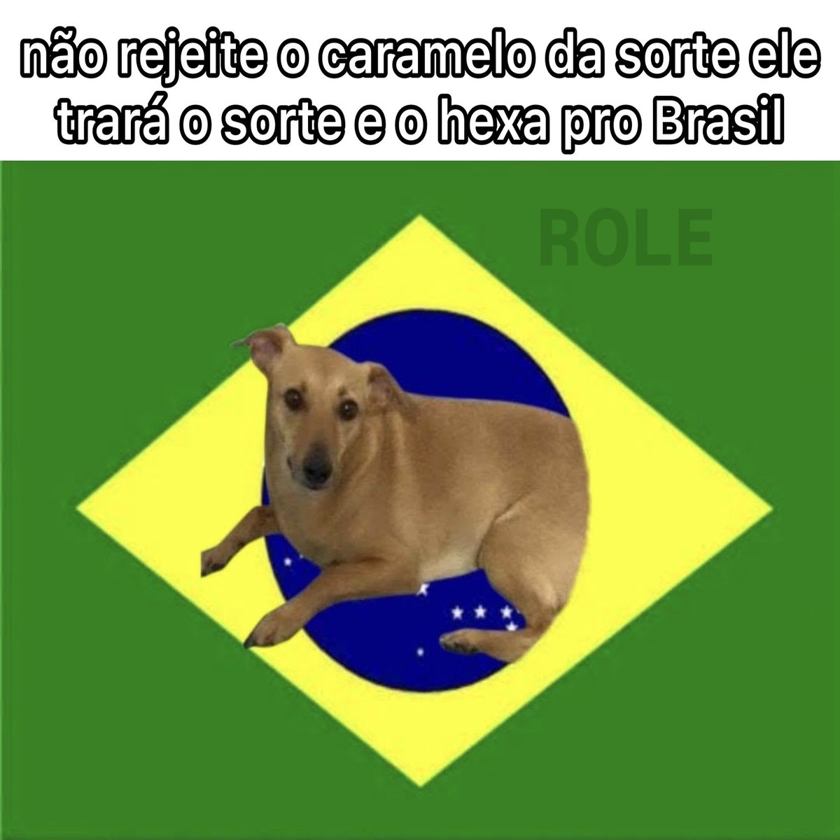 rolealeatorio's tweet photo. boraaa 🇧🇷 https://t.co/Bz6dcbKhRp