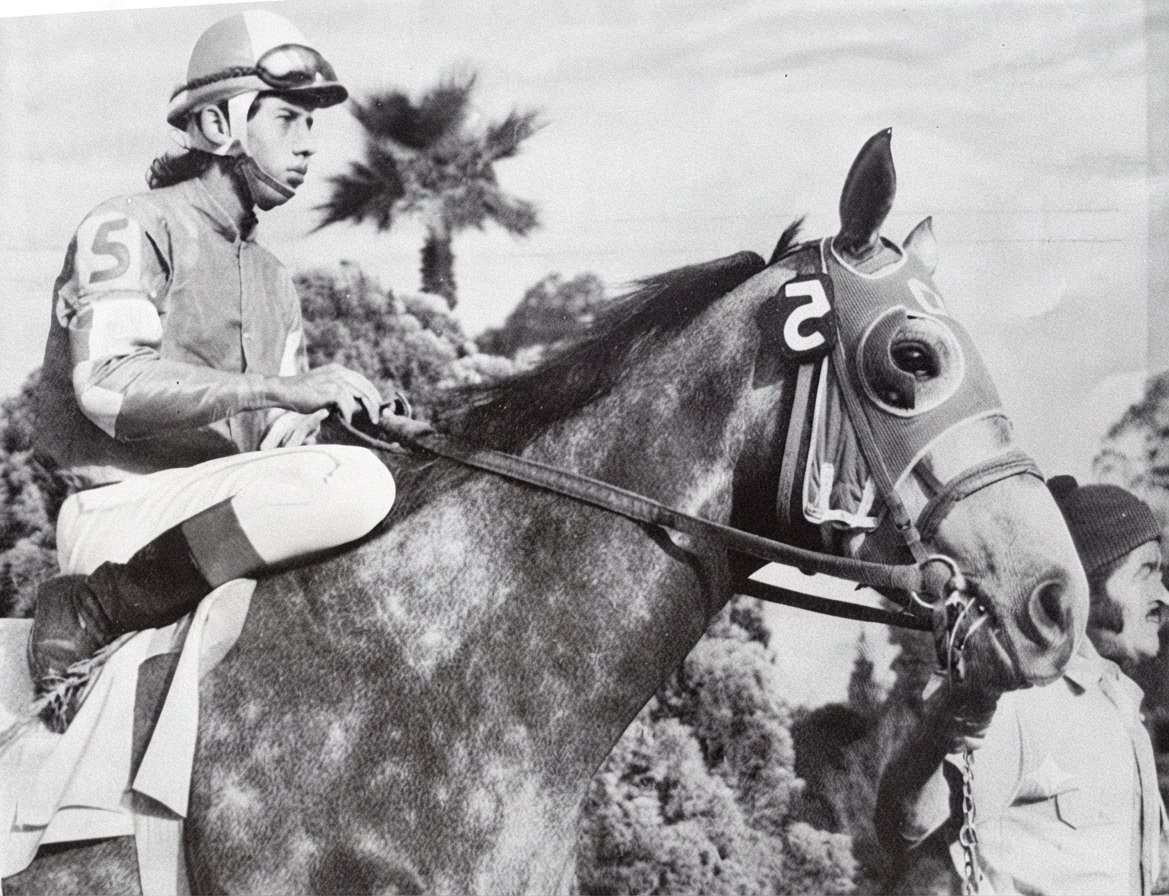 HORSERACING1002's tweet photo. RANDAR 🇺🇸1981
(PEACE CORPS ▪︎ ENLOPE BY STAGE DOOR JOHNNY)
#Randar
B/ Michael F. Drinkhouse (Fl) February 9, 1981
O/ Cuadra Santa Rita
FBSOCT $9,500
27-12-5-4---$25,837,630
Clasico Quetzalcoatl G2, Handicap Carlos Gomez G3, Handicap de las Americas G1, Handicap Hidalgo G2, Handicap Morelos G2,
2nd Clasico Asociacion Mexicana de Caballistas G3, Handicap Morelos G2, Handicap Gay Dalton G2,
3rd Handicap Hidalgo G2,
