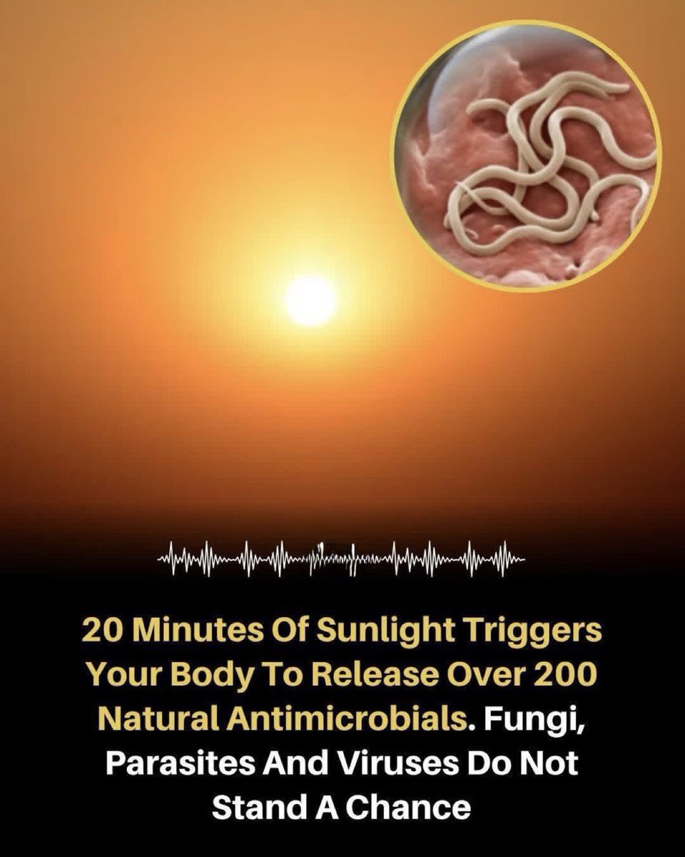 DaAcervo's tweet photo. ☀️ O que acontece 20 minutos depois que a luz solar atinge a sua pele?

Cientistas afirmam que o seu corpo pode liberar centenas de defesas antimicrobianas naturais que ajudam a combater bactérias, fungos, parasitas e vírus nocivos. 
A maioria das pessoas não faz ideia de que a luz solar desencadeia respostas imunológicas ocultas no organismo.

Fonte: National Institutes of Health. Sunlight and Vitamin D: Both good for cardiovascular health. U.S. National Library of Medicine.