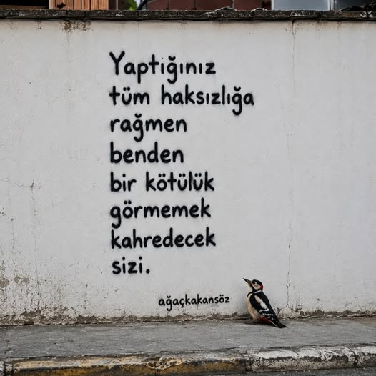 ibrahimcamur's tweet photo. https://t.co/kFcN9ewbpC