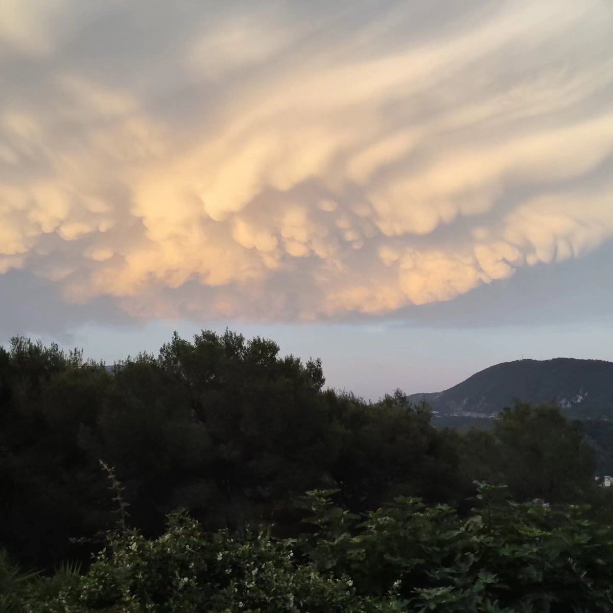 Patou_ou_rien's tweet photo. 05/07/26 - 21h10 - AM, France
Ils envoient du lourd ce soir encore... bien étrange tout ça !
#HAARP ? https://t.co/TSOWAWu8wS