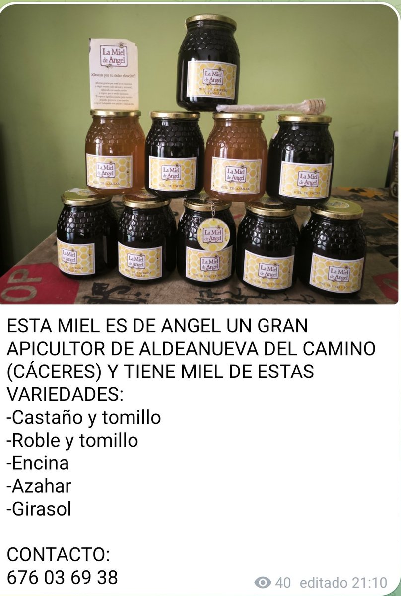 JuanviPalleter's tweet photo. ENVIOS A TODA ESPAÑA.
 676 03 69 38. https://t.co/FxWZfXDzRl