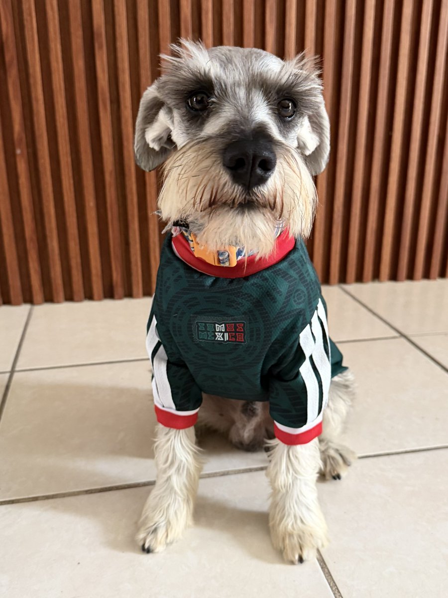 GomezOliden's tweet photo. Y si, sí? 🇲🇽😎
#mundialdefútbol2026 #Mexico #hoyganamexico #snauzer https://t.co/XMmNnLKp1f