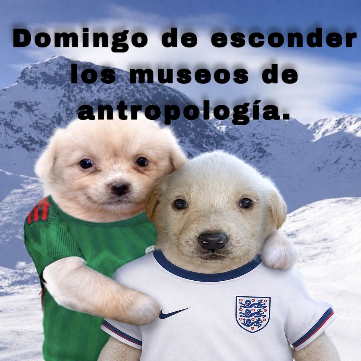 HctorDeJessBec1's tweet photo. @nacional_memes https://t.co/CSDt23yGfm