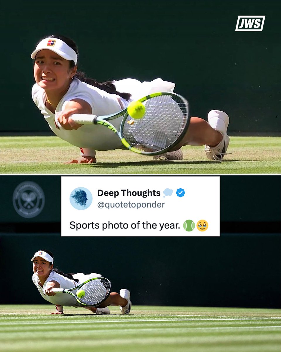 justwsports's tweet photo. The best photo you'll see today ￼

Photographers: Henry Nicholls &amp; Robert Prange

(h/t @quotetoponder) https://t.co/av2eBcVoXz