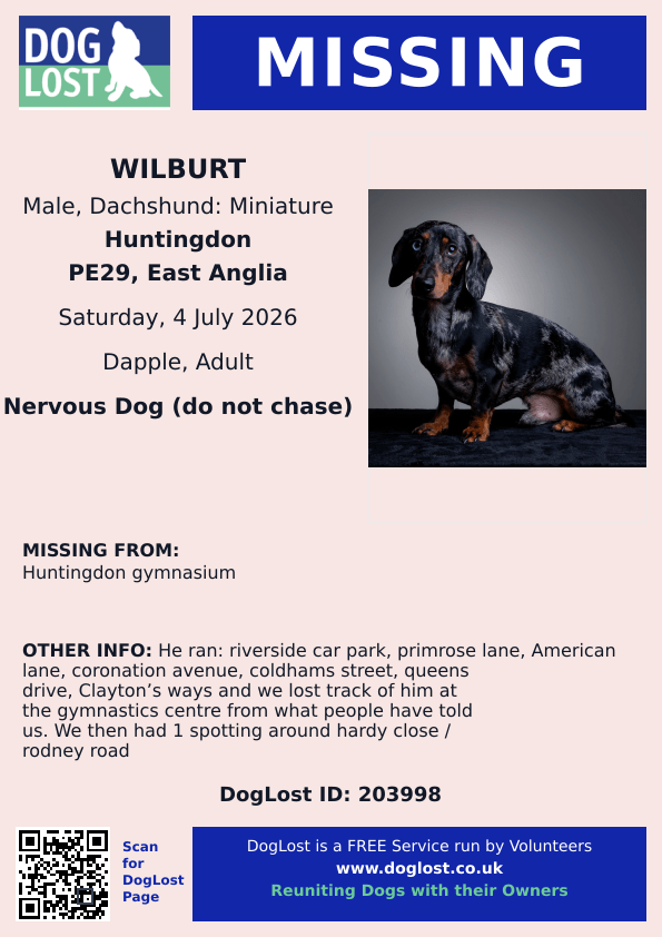MissingPetsGB's tweet photo. 🐕 #stolendoghour

#Huntingdon #PE29 Please share to help find WILBURT, a miniature #dachshund dapple #missing since 4 July when he escaped his harness after being startled.

He was last seen at Huntingdon gymnasium. DO NOT CHASE
Please contact if sighted
https://t.co/cDzu6S8Woi https://t.co/itr53HpsHq