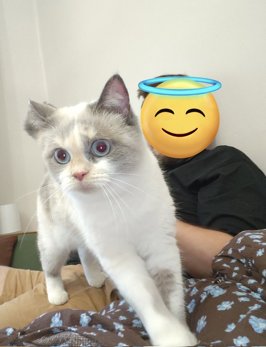birbinka's tweet photo. Poznajcie Figę, Figusie, Fizie Mizie https://t.co/eRKlXM6dDQ