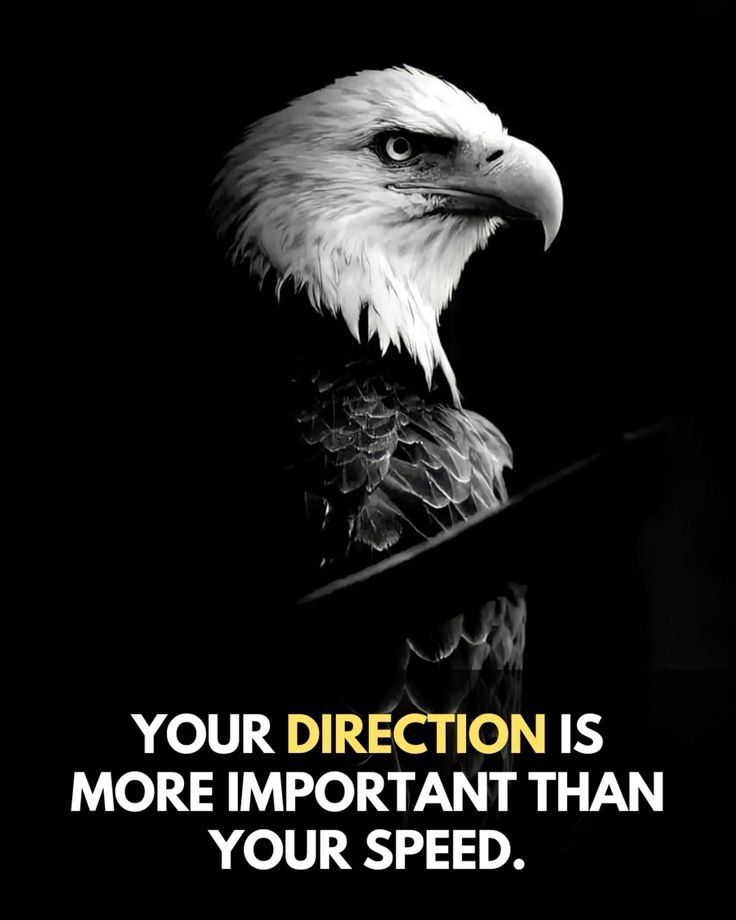 Gold Wisdom tweet media