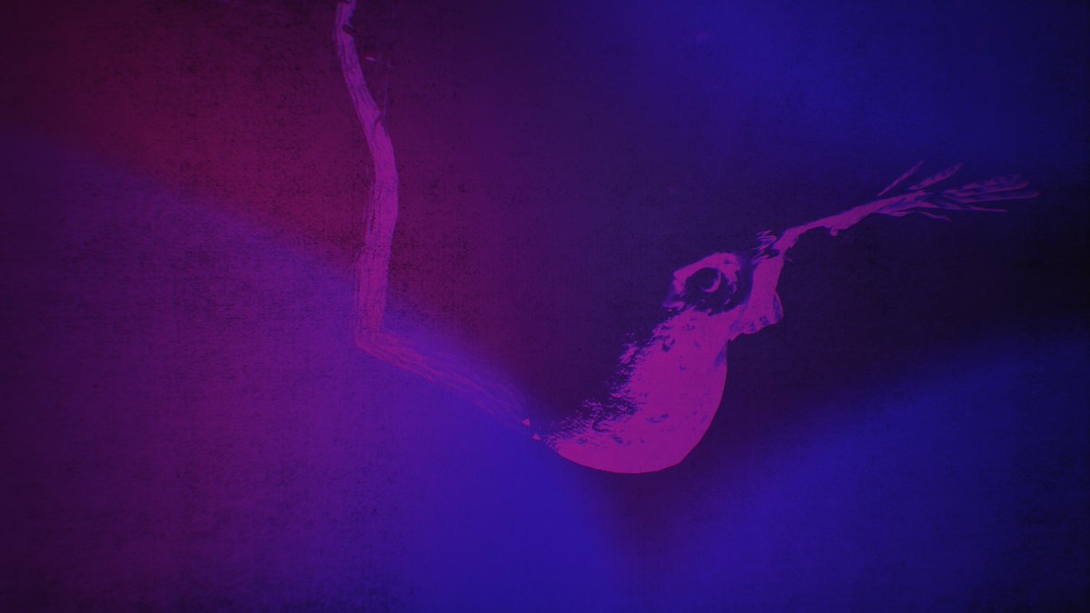 hexen_wind's tweet photo. #LostRecords #LostRecordsBloomAndRage #VirtualPhotography https://t.co/IGkGjsUrjh