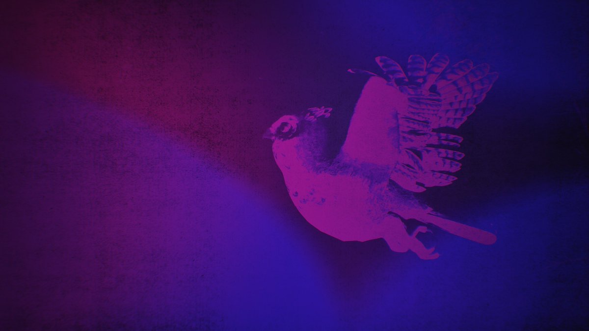 hexen_wind's tweet photo. #LostRecords #LostRecordsBloomAndRage #VirtualPhotography https://t.co/IGkGjsUrjh