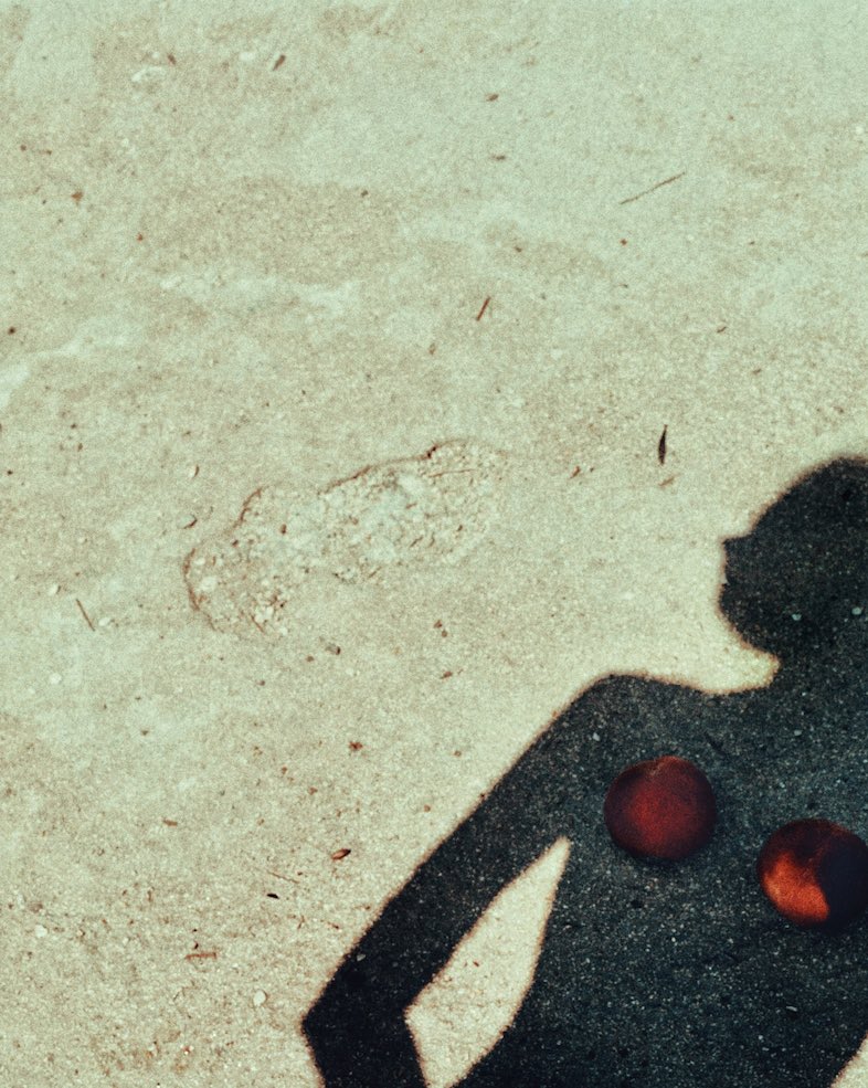 apart_trapa's tweet photo. 📷 Miro Lovejoy Teplitzky, Youth (2024)
#apart #photography #aestheticmodernism #trapa https://t.co/HDYFycbVQ5