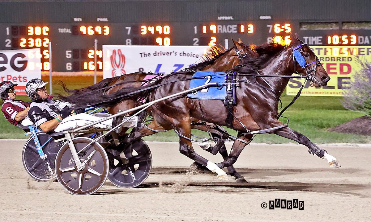 harnesselite tweet picture