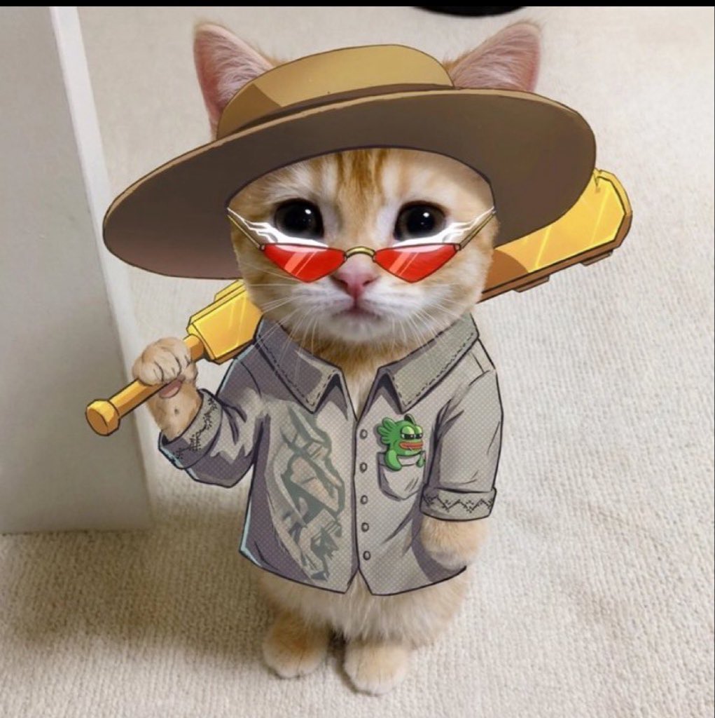 WOLFBSx07's tweet photo. @LevisNFT @fomo You need to believe in the cat.
@LevisNFT  $gato https://t.co/lFVggj5Lp0