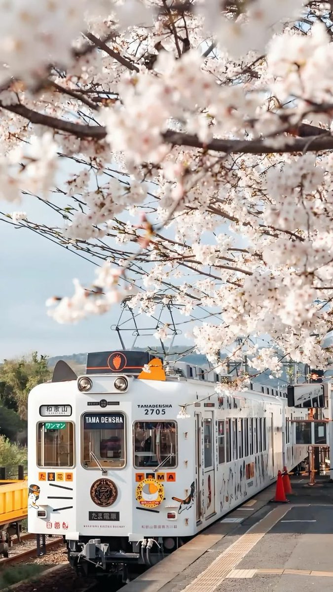 JapanPicsX's tweet photo. A train station in Japan 🇯🇵 https://t.co/QNfneWXGki
