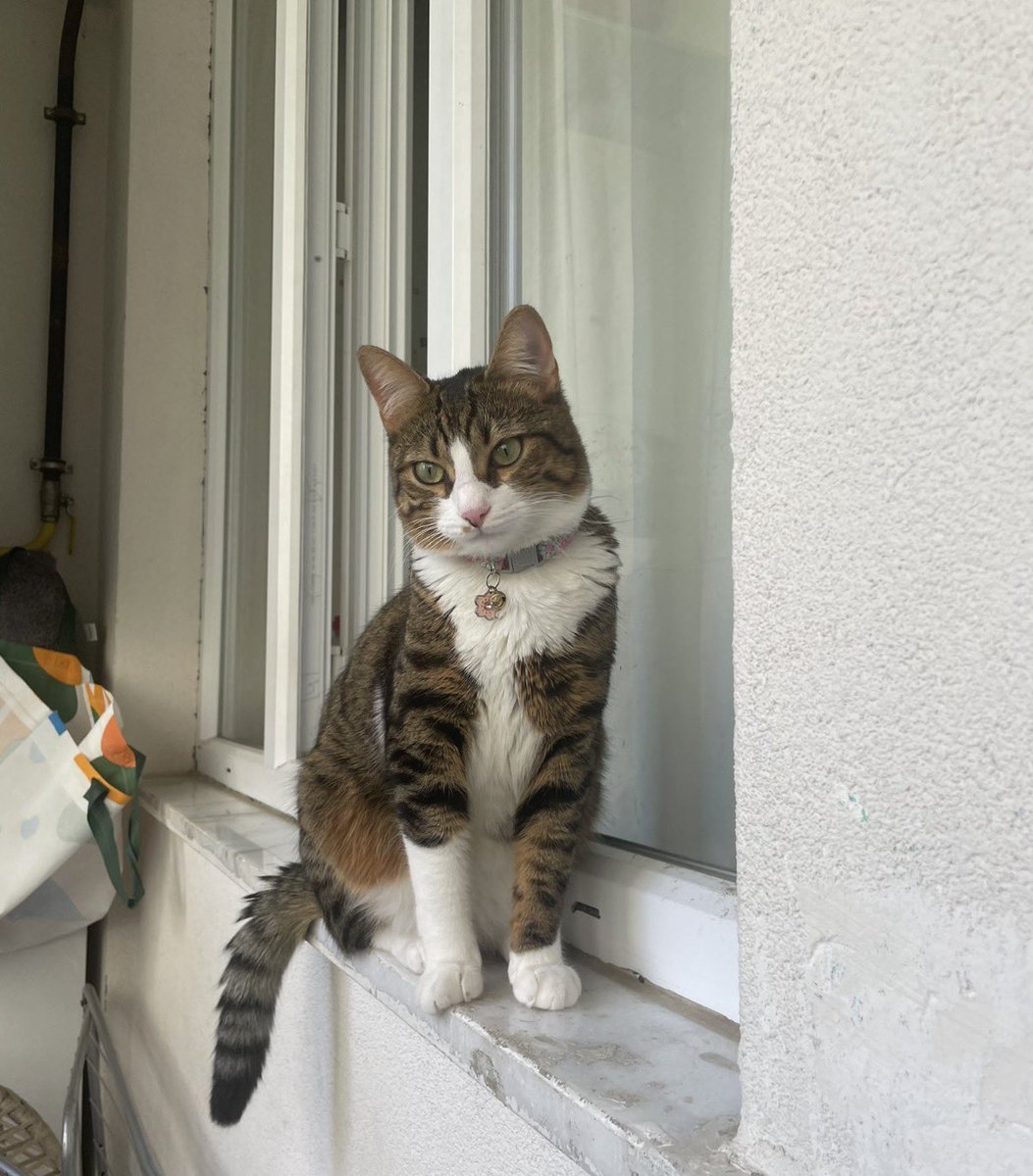meeowwm's tweet photo. tibe bak cay dmle.🫖🩰🧸 https://t.co/rjSriqpQsg