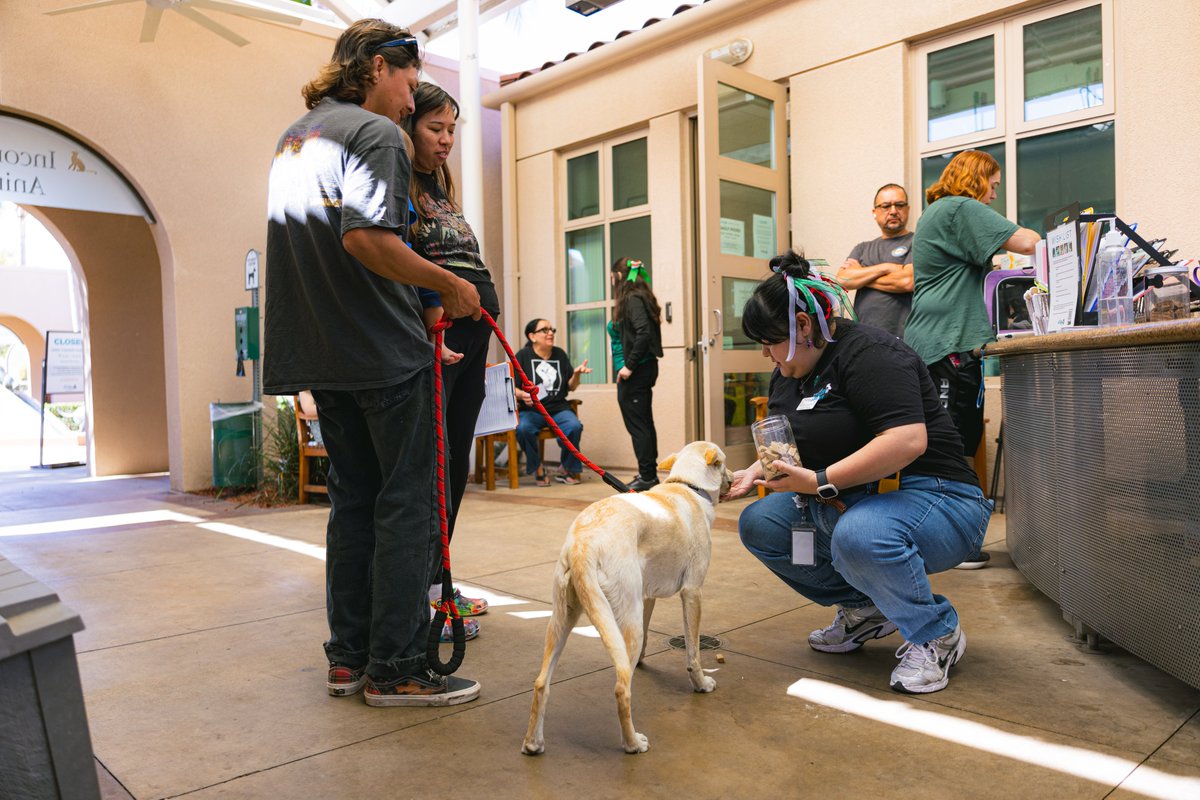 sdhumane's tweet photo. So far, at least stray 78 pets have been brought in since July 4th celebrations. San Diego Humane Society is urging those who lost their pets to check local shelter listings right away. https://t.co/5BRf4X2QA0.
Or text “LOST” to 858-SAN-LOST for step-by-step guidance. https://t.co/2A4CAxrZB6