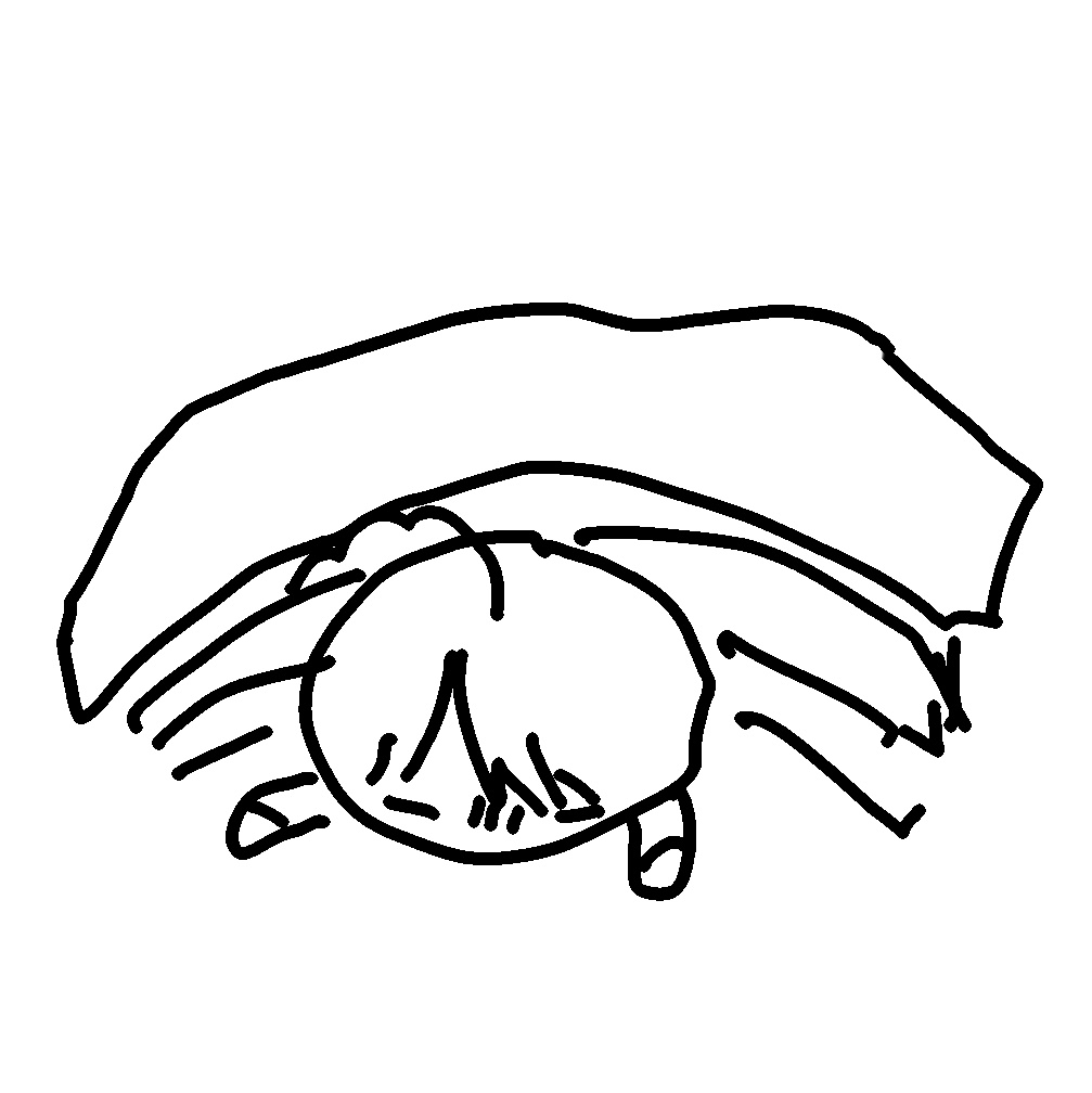 spica_A___'s tweet photo. 새벽에생존신고하고감
저벅저벅 https://t.co/YUNQXqwoWu