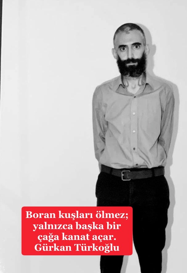 serkankayaDP's tweet photo. Boran kuşları ölmez; yalnızca başka bir çağa kanat açar. 

#GürkanTürkoğlu https://t.co/Y6hry6DXnv