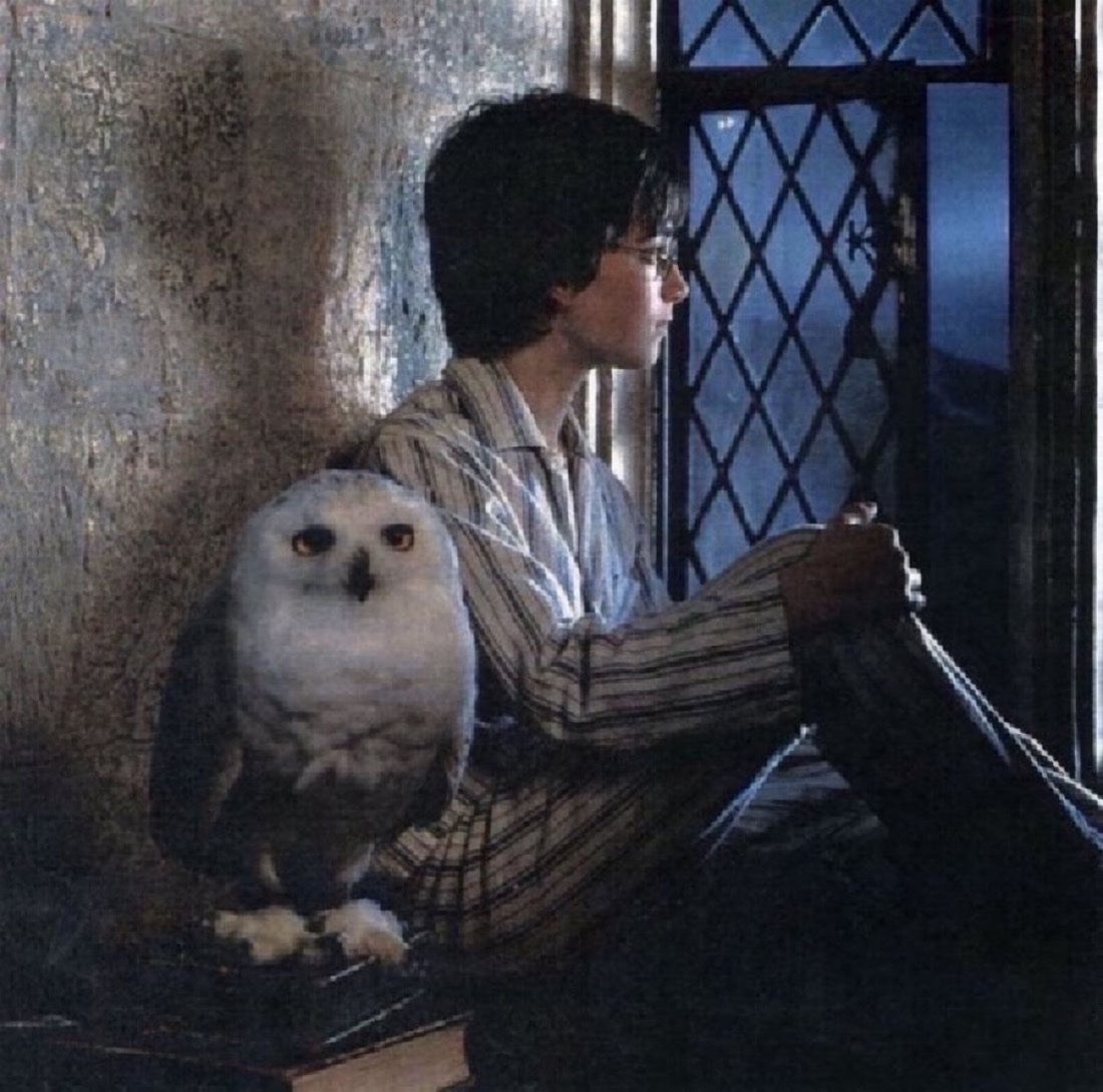 TheDailyHPotter's tweet photo. Harry’s first night back at Hogwarts 🦉 https://t.co/dw6QE5XUXX