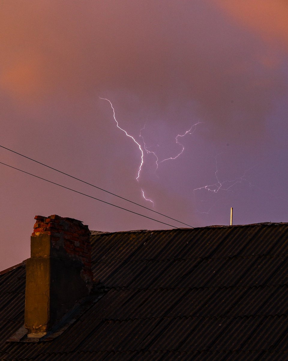 MeteoLatvia's tweet photo. Kluss, bet glīts dudinātājs pastaigāja ap Jelgavu šī vakara zelta stundā. https://t.co/en8NvcoLtP