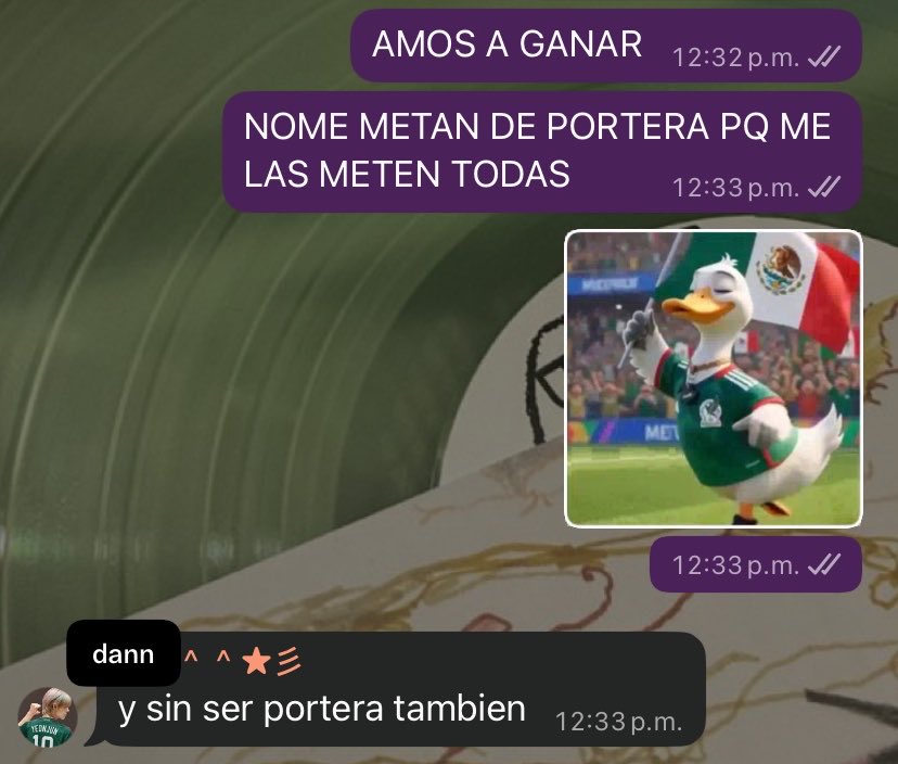 dechi mexicana IGNA FEST tweet media