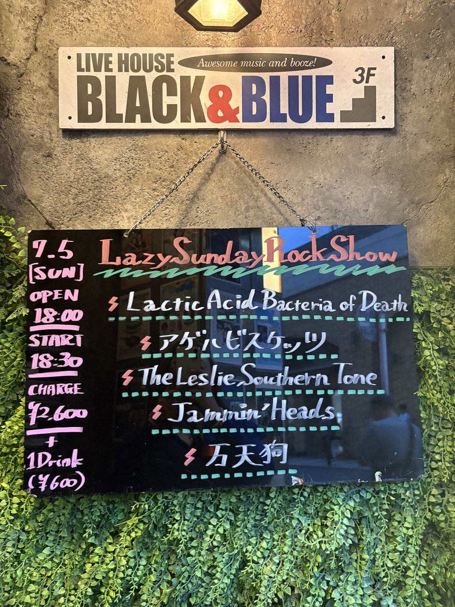 PlanetAffeN's tweet photo. アゲハビスケッツ🦋吉祥寺BLACK &amp;BLUE
今年ブ活強化に伴いアゲビも見に行くことに決めた途端にBa.脱退しましたがRICHIEさんがサポートで入ってくださってまたすぐライブ嬉しい♬RICHIEさんDo脱退以来でお元気そうでしかもアゲビすごい馴染んでて謎の安定感👍さらに素敵なサウンドに♪続投希望です💝 https://t.co/T8uH8XWT9X
