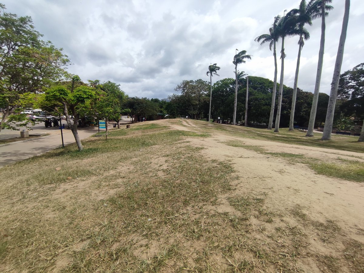 RobertLobo_'s tweet photo. #5Jul Dos cositas. 
*Sacaron a todos los damnificados que estaban en el Parque del Este, fueron reubicados en el Coliseo de Petare.

* Hay demasiada ropa donada en el centro de acopio del Parque de Este, piden no llevar más, las prioridades ya comienzan a ser otras. https://t.co/zcYT8htGP6