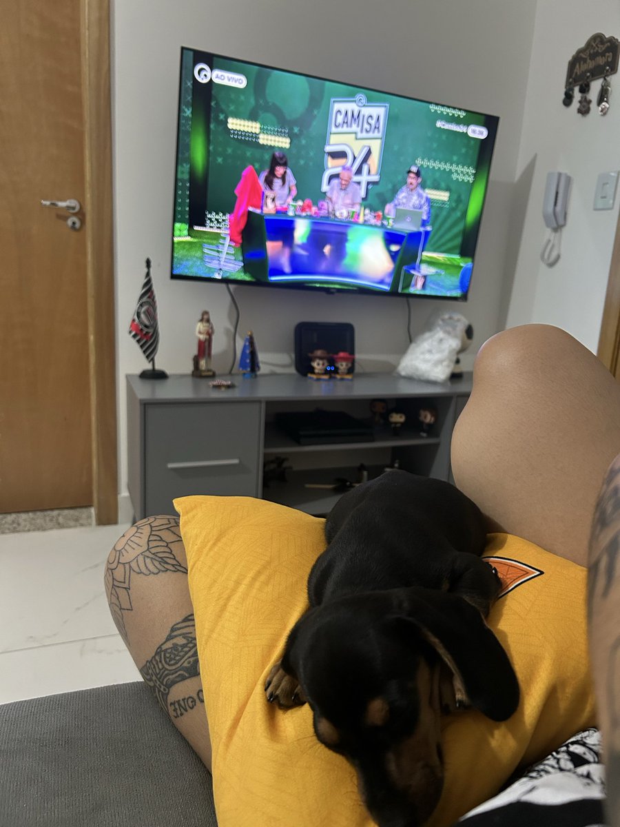 camislhp's tweet photo. Já acompanhando o melhor programa da copa #Camisa24 https://t.co/2NCVt0C7SD