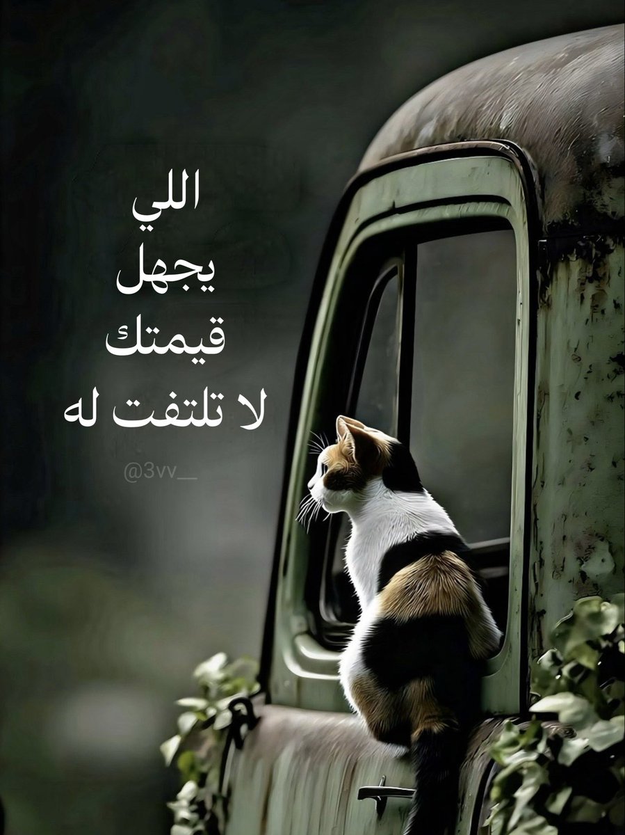 3vv__'s tweet photo. https://t.co/FmNaA4WTsS