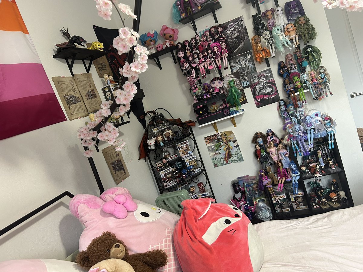 Rhaegals_flame's tweet photo. Bedroom of a 25 year old 🦢 https://t.co/cuSy3blI9F