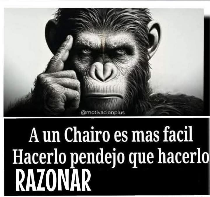 misolz's tweet photo. @FabianLuis14 https://t.co/B7cqe520cX