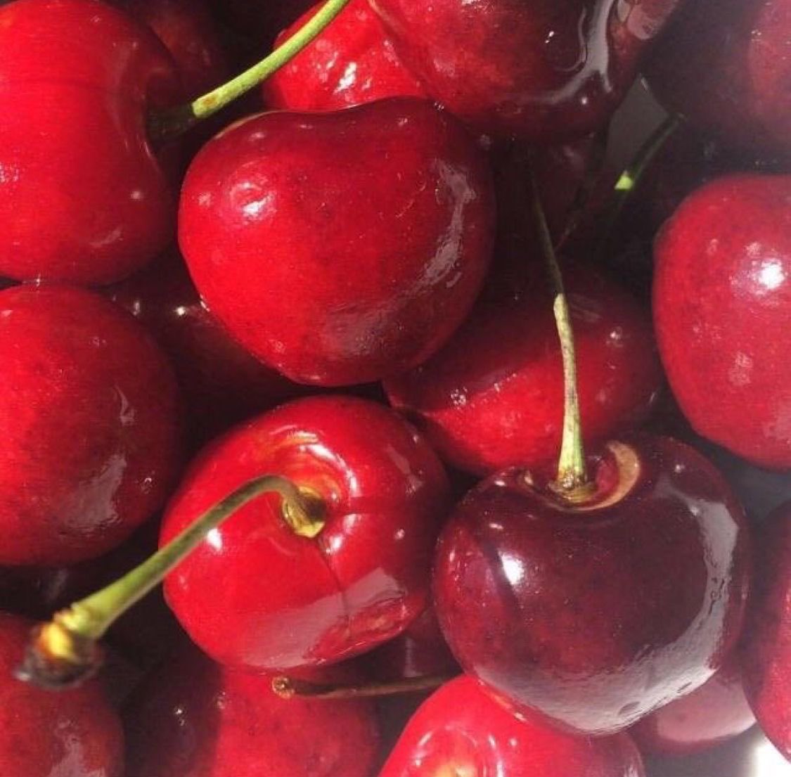 Tonygzah's tweet photo. Personally ive always thought cherry by lana del rey was about drugs… #pnp #drugtwt #cherry https://t.co/1p5kbs3jzF