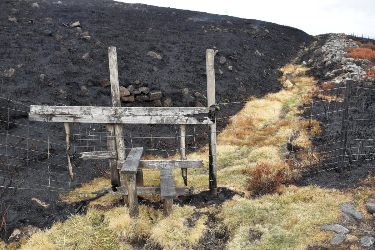 macleginn's tweet photo. We have the desolation of Smaug at home. #tintwistle #moorfire #peakdistrict https://t.co/9xcI7EPI1e