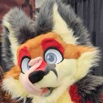 Photo by SlyTheFox 🔜 Furpocalypse (@SlyTheFox)