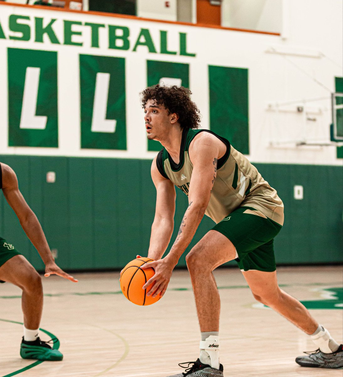 USF Men's Basketball tweet media