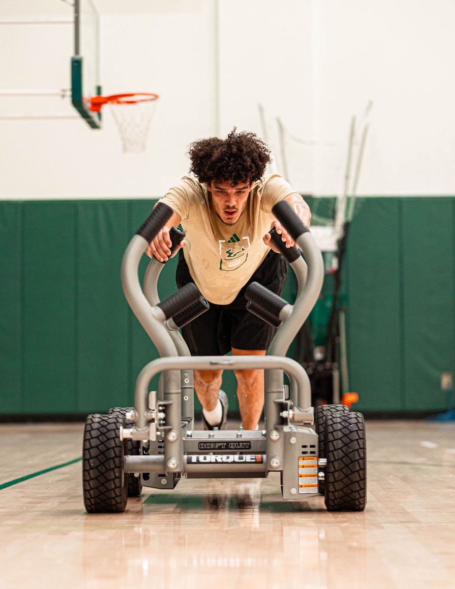 USF Men's Basketball tweet media