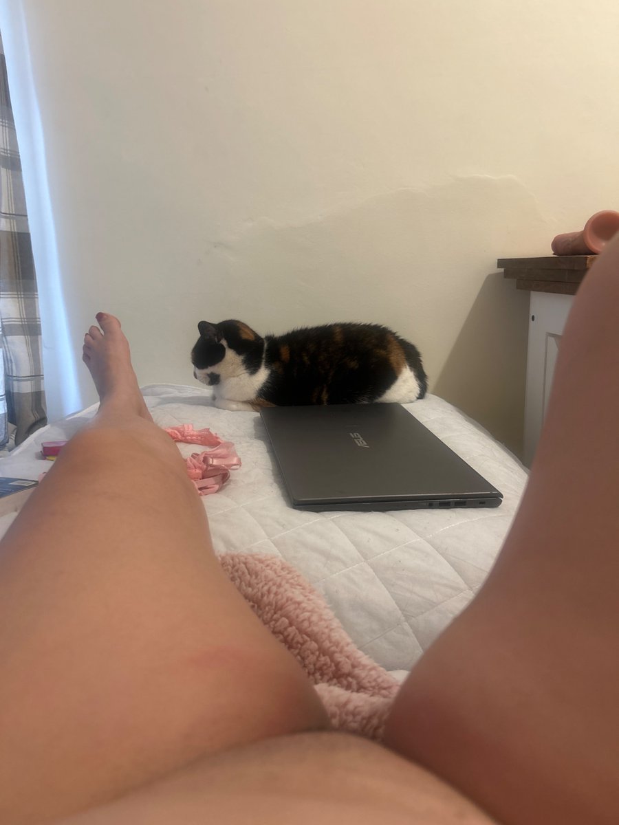 ignatiusymomo's tweet photo. Relaxing Sunday https://t.co/ZzeAIKRUtz