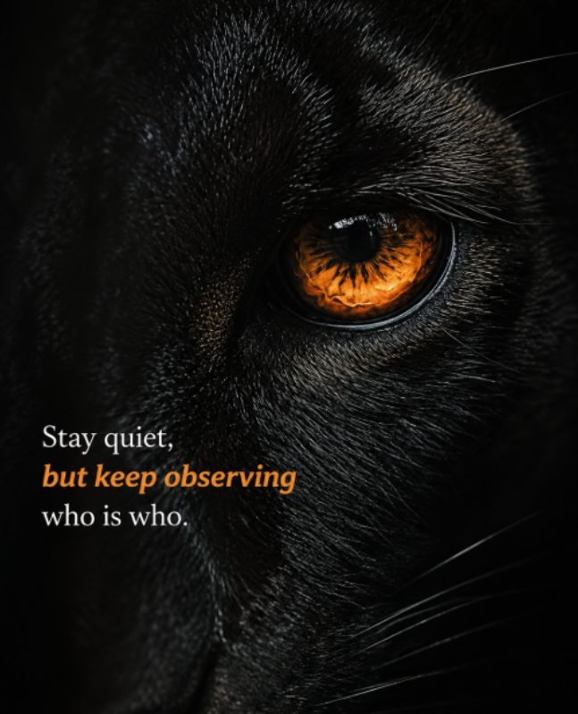 ZeroFrameXX's tweet photo. Silence is the best answer. https://t.co/kS3elCsxNN