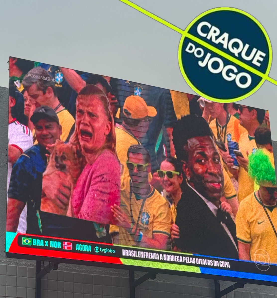 samengo_ofc's tweet photo. Namoral, ninguém se iguala a nós. https://t.co/jKtuntrkWQ