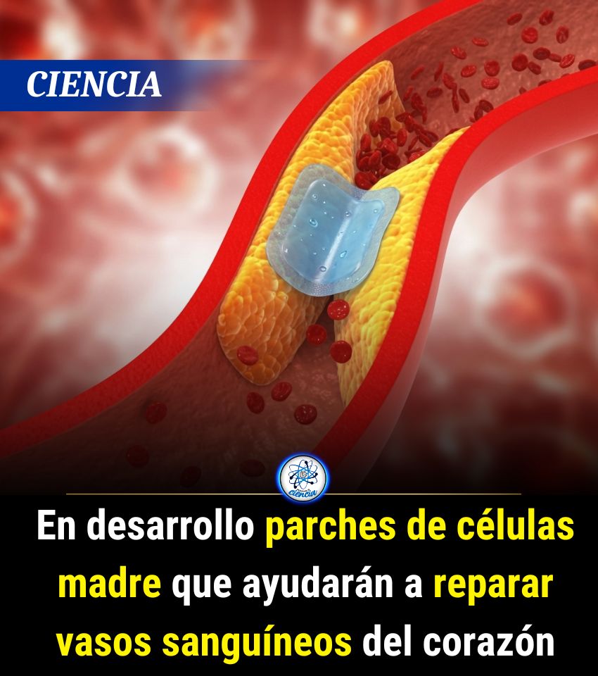EnsedeCiencia's tweet photo. https://t.co/fozOxvP1t7
