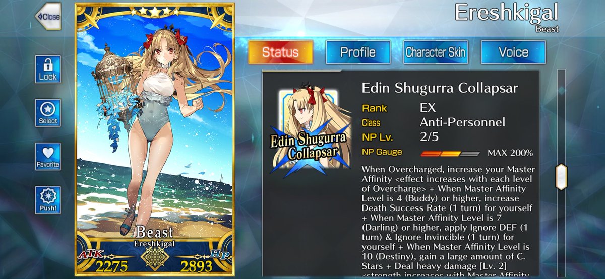 Yo_Its_Brax's tweet photo. literally haven't played FGO since april, came back and got NP2 on the anniversary servant 

we are so back https://t.co/IJcMB69PGv