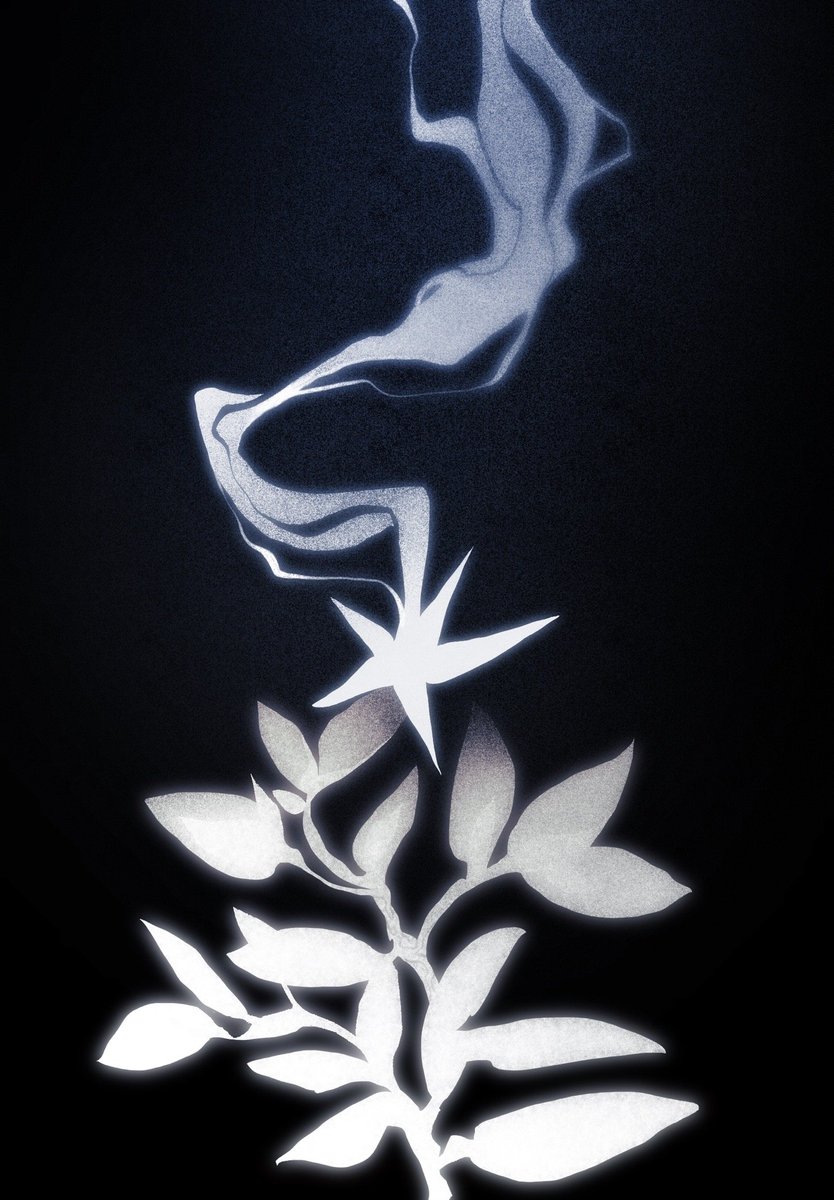 ✧ Mirkusu ✦ tweet media