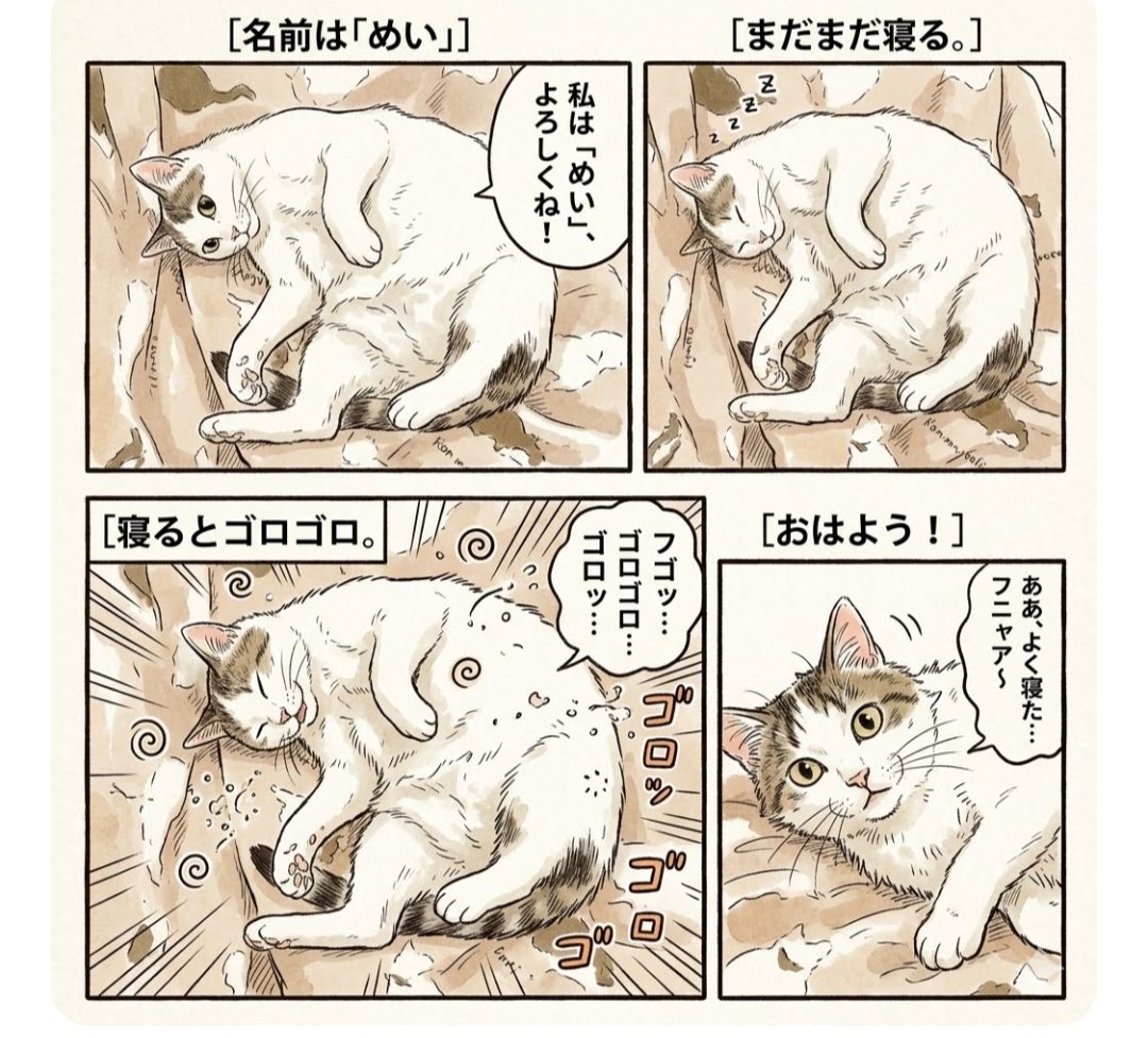 watakin007's tweet photo. おはようございます😀🐱
めいニャン🐱♀(11歳)
掃除機をかけようと来てみたら
😊「ありゃ❓」
😺「眠い～ﾆｬ💤」
😀「じゃ1時間後に✨」
🐱．．．💤
ヘソ天でゴロゴロ、安心して寝ています🥰😺
よい1日を*˙︶˙*)ﾉ"🍀*゜
 #猫のいる暮らし  #シロキジ  #めいニャン #猫 #cat
#AIお試し 漫画(眠い～💤) https://t.co/SJWIg7QbjZ