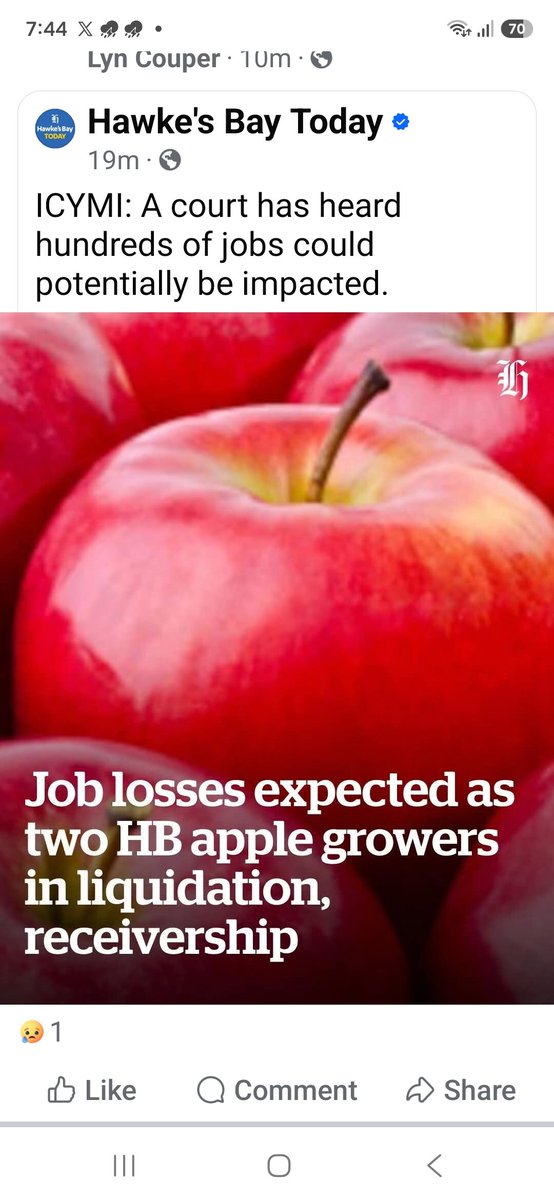 LuxonNotMyGovt's tweet photo. We cannot afford three more years of Willis reckless economic vandalism where she continues her destructive path trying to cut our way to prosperity- insane madness. 
She has destroyed mills, canneries, factories and there are record liquidations business failures and job losses https://t.co/i3lztPSM7w